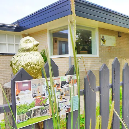 Vakantiehuis De Gouden Vink Sint Maartensvlotbrug